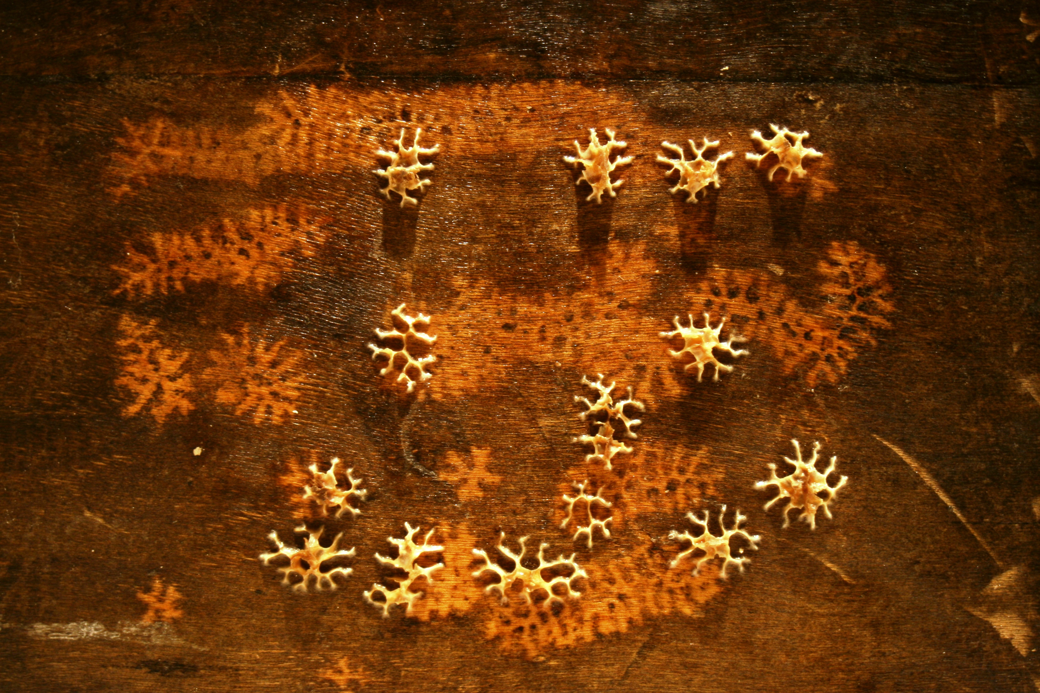 Marks 01