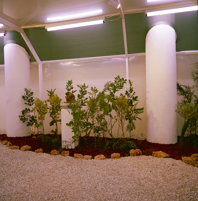 Nature Morte, 05