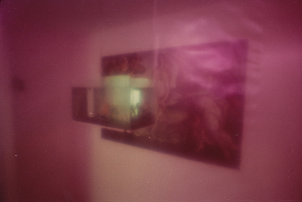 Niches 003