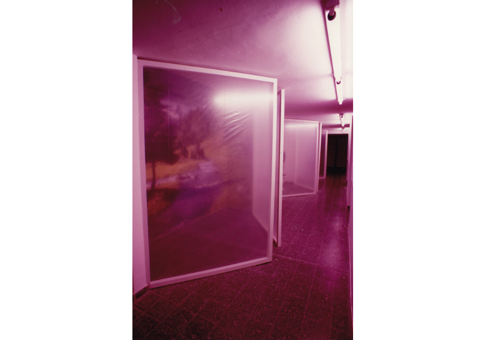 Niches 009