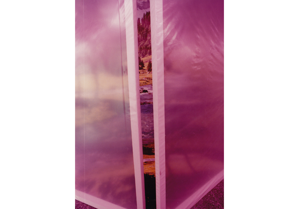 Niches 010