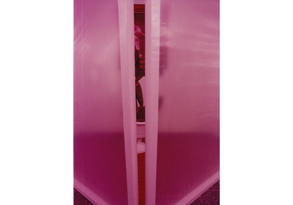 Niches 012
