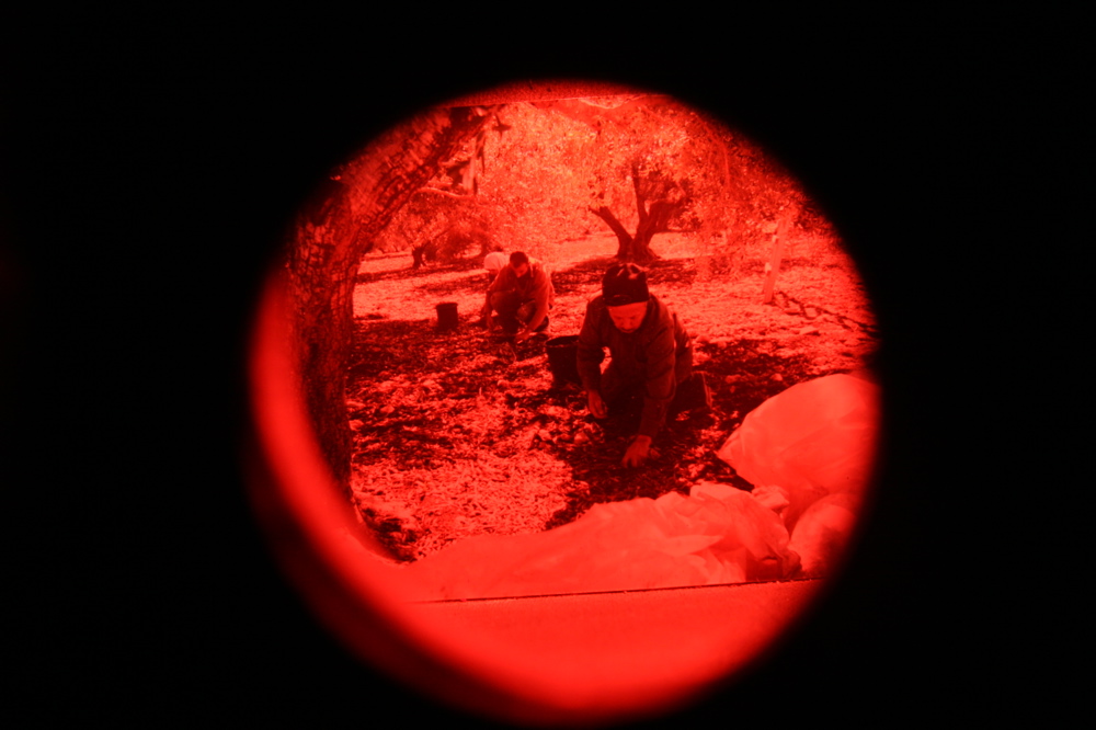 Olive Pickers 006