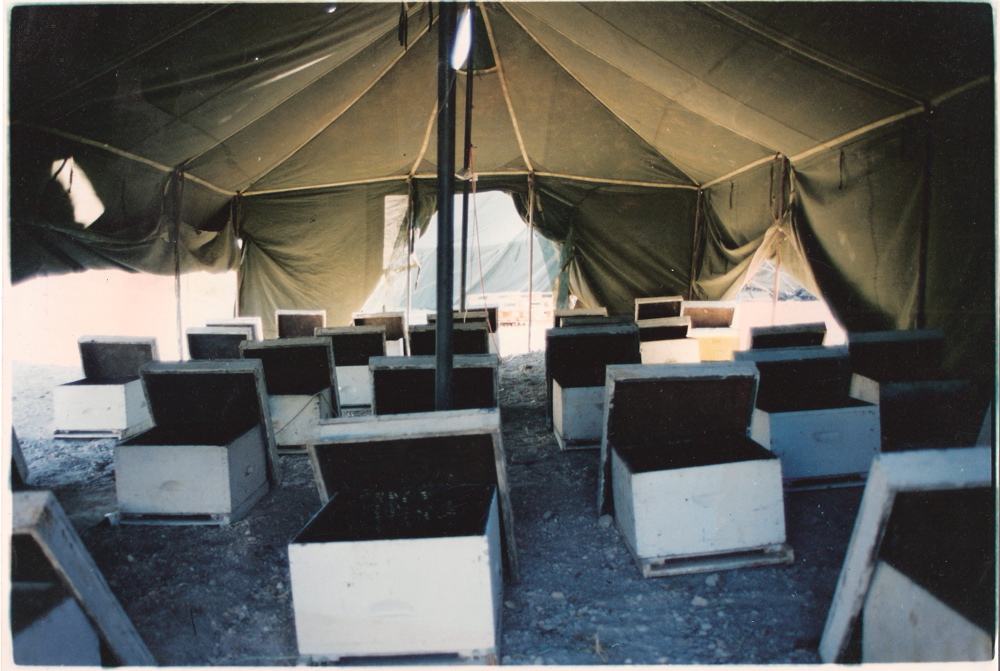 Tel Hai 001