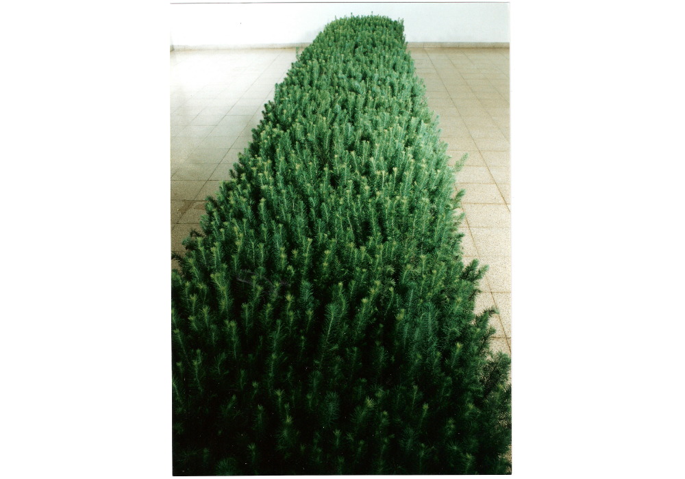 The Mobile Forest