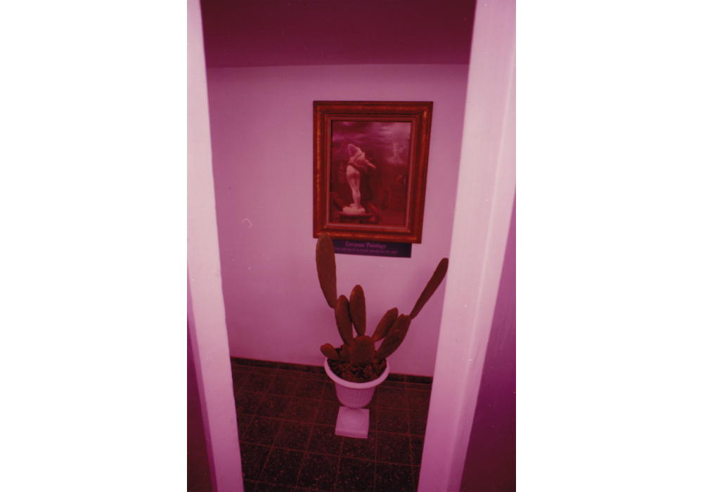 Untitled 013
